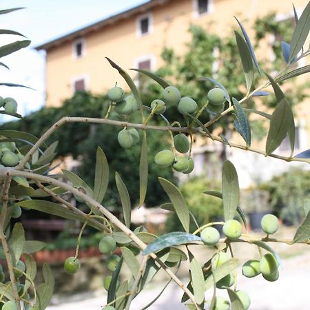 B&B Al Frantoio Chiusi Luaran gambar