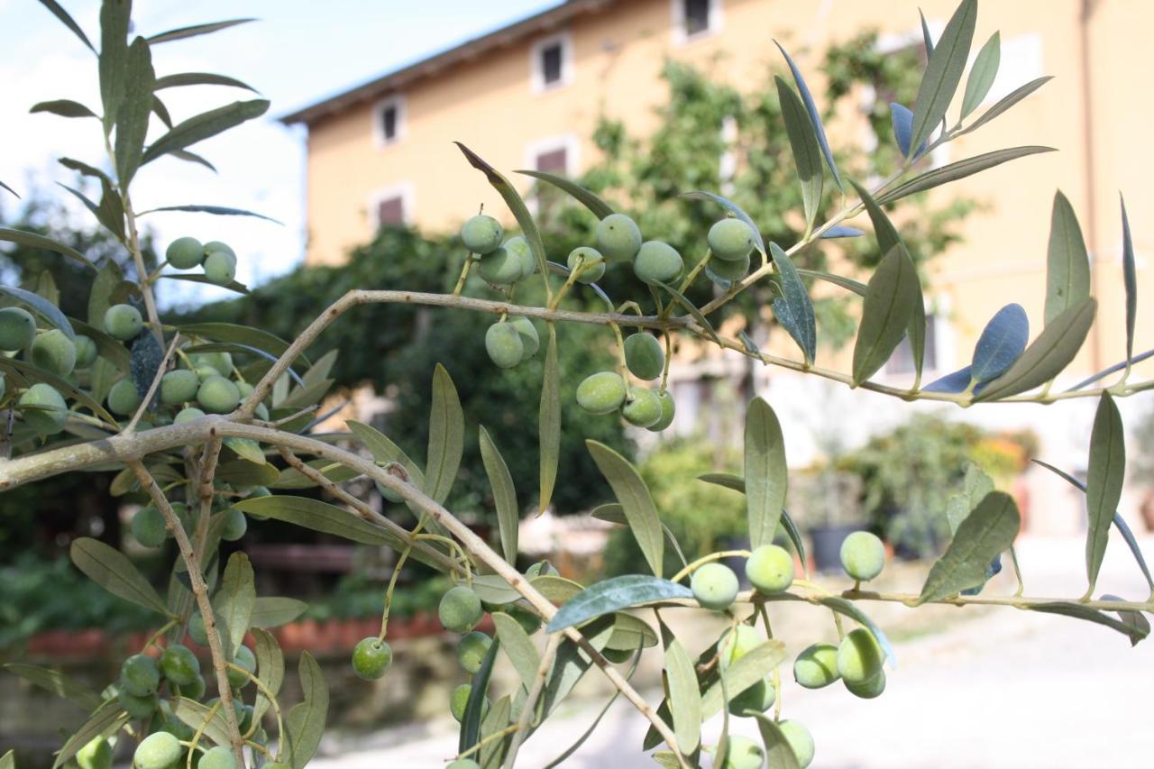 B&B Al Frantoio Chiusi Luaran gambar