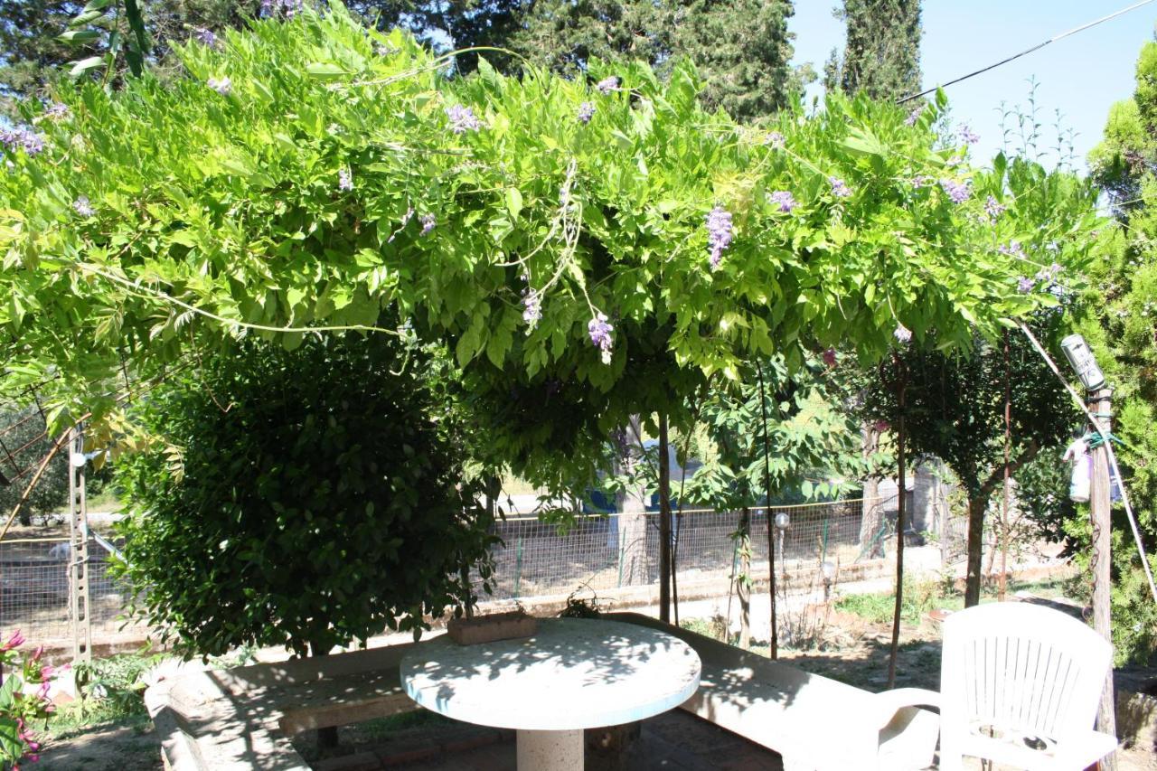 B&B Al Frantoio Chiusi Luaran gambar